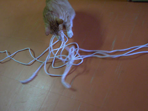 ほぐしてくれてるの?