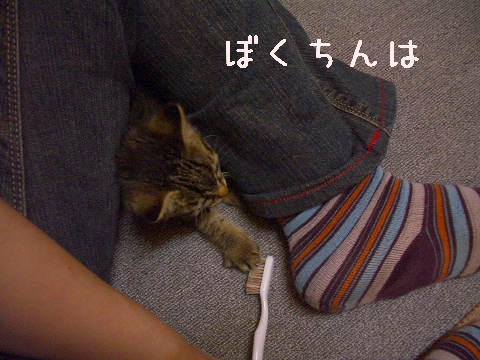 ڂ