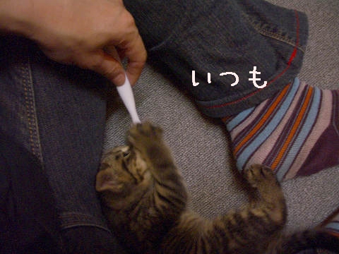 ͂Ԃ炵Ɓ`
