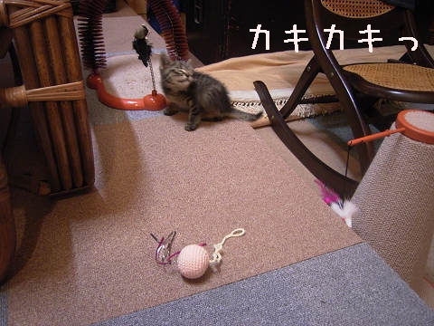 ܂