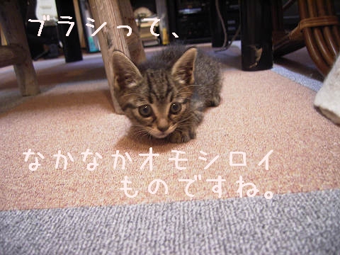 񂾁`B