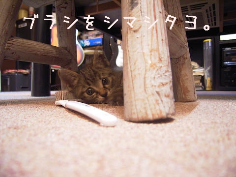 ̂́AuV܂B