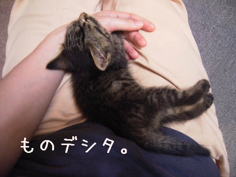Ƃ[B
