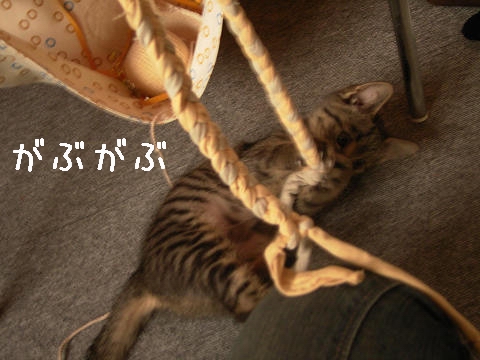 トドメじゃ。