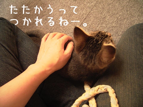 おつかれさま^-^