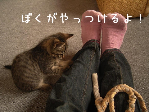 たのむよー。