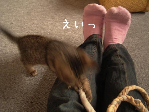 おお〜