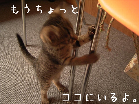 もうちょっといます。