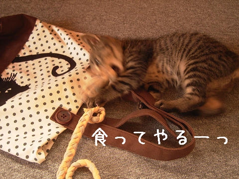 食えんて。