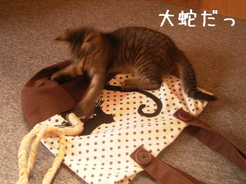 大蛇vsぼく