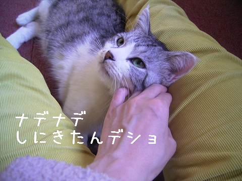 掃除にきましたー。