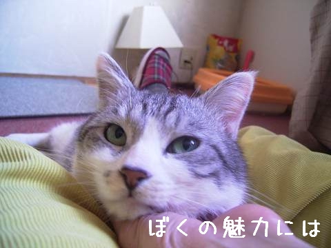 あのっ、掃除に〜。
