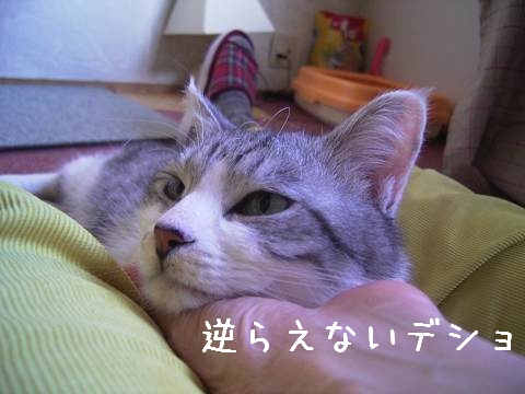 まあそうなんだけどさー。