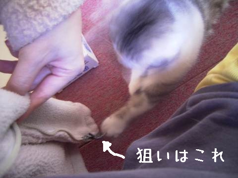 チャックのタグ