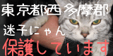 東京都西多摩郡の迷子猫さん