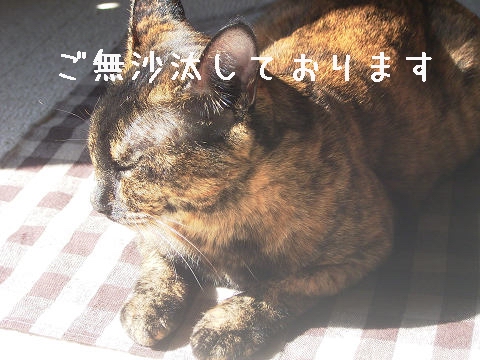 قƁAڂ}
