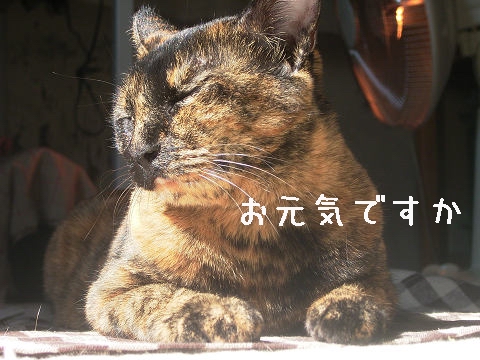 񂱁`