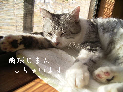 ぼくのじまん