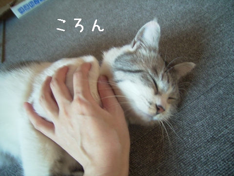 낱