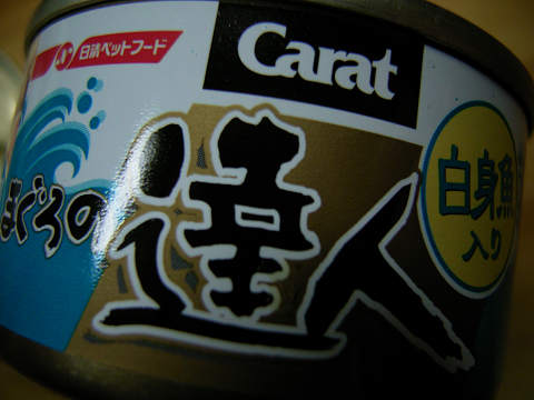 ܂̒Blg