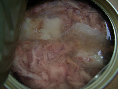 ܂̒Blg2
